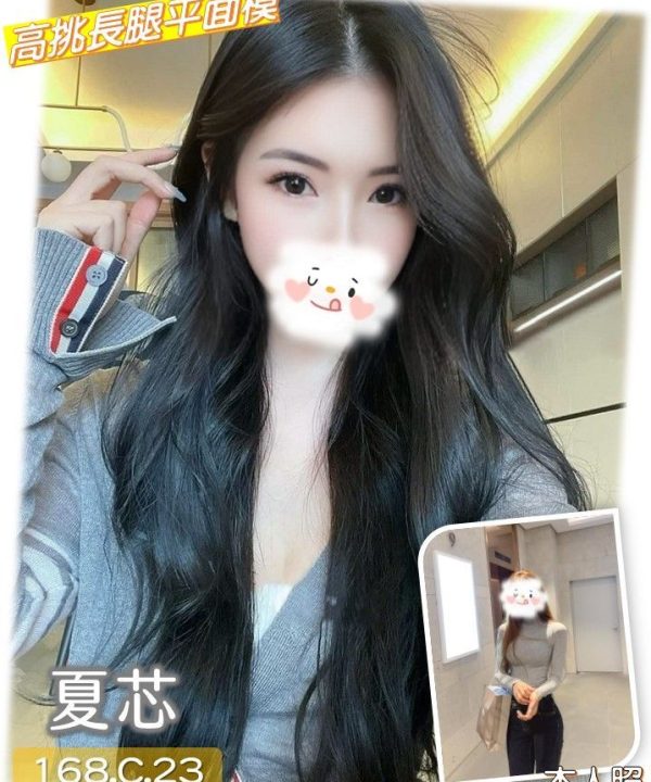 台中外送茶 夏芯 援交