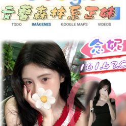 台北外送茶 念妮 援交