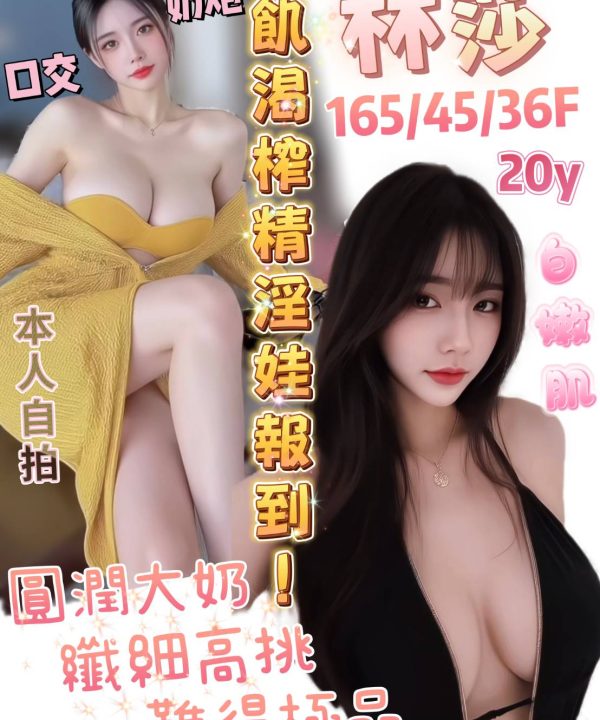 台南定點茶 林莎 援交