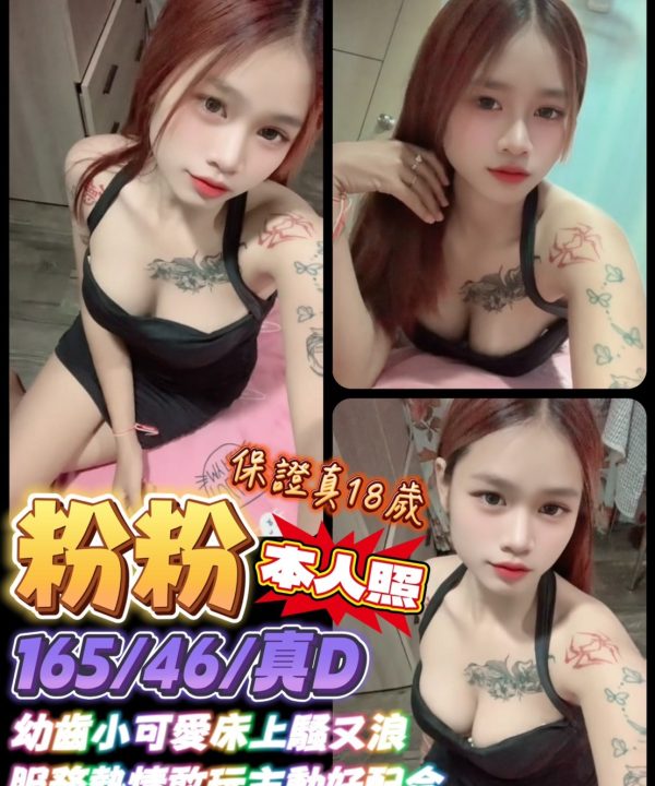 台南定點茶 粉粉 援交