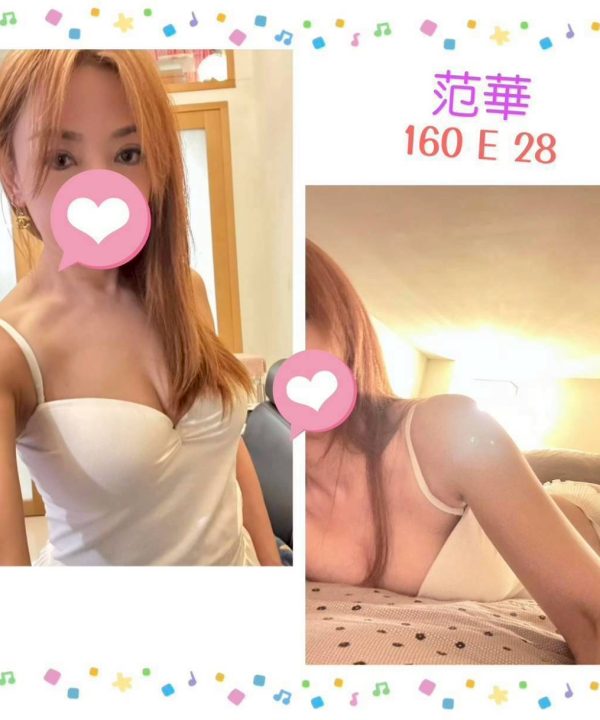 台北定點茶 范華 援交