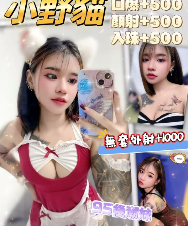 桃園定點茶 小野貓 援交
