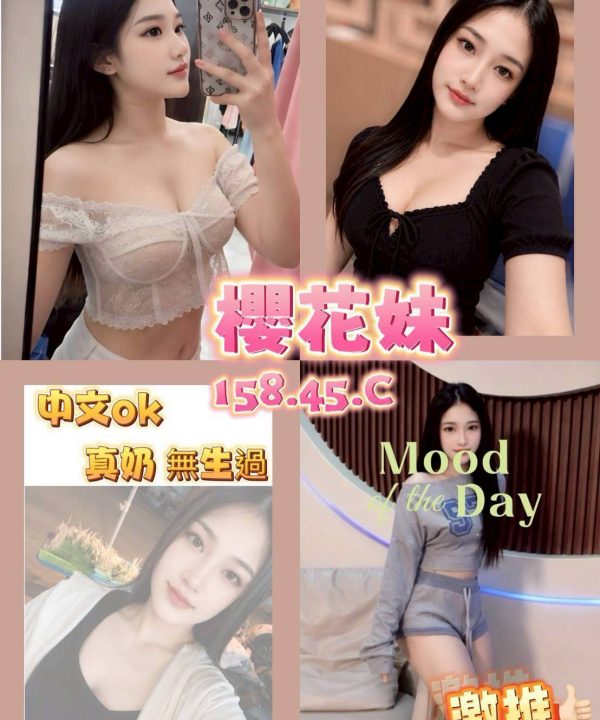 櫻花妹 台南新營定點茶