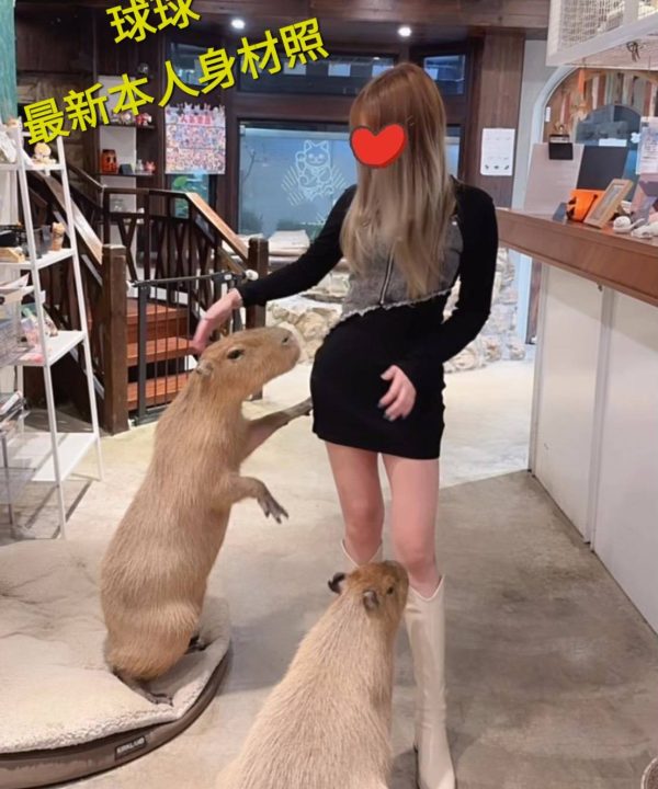 球球 台北/新北外送茶：圖片 5