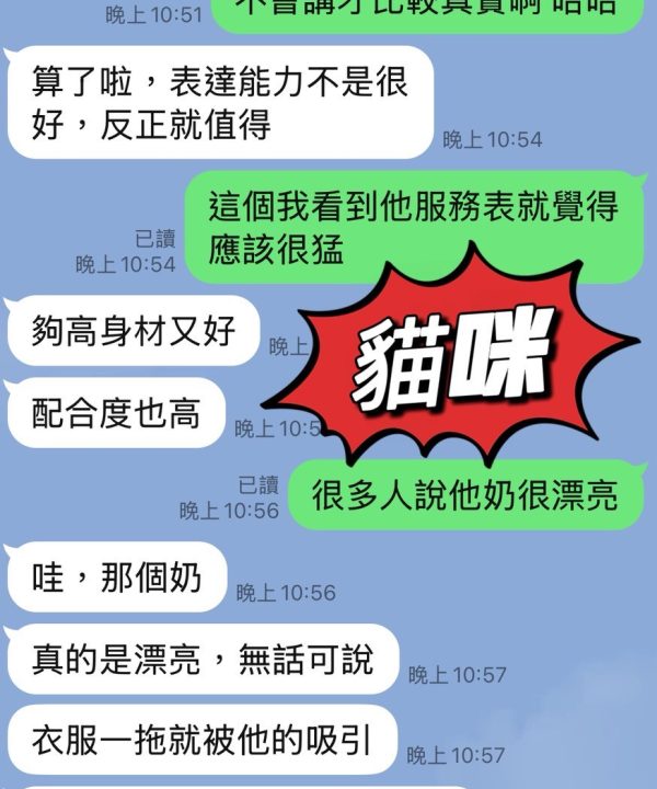 貓咪 台東市區定點茶:圖片 2