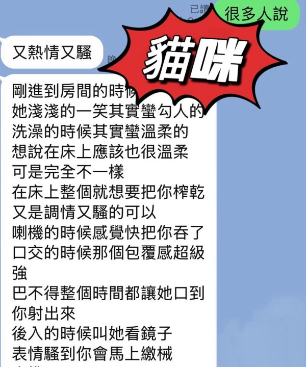 貓咪 台東市區定點茶:圖片 3